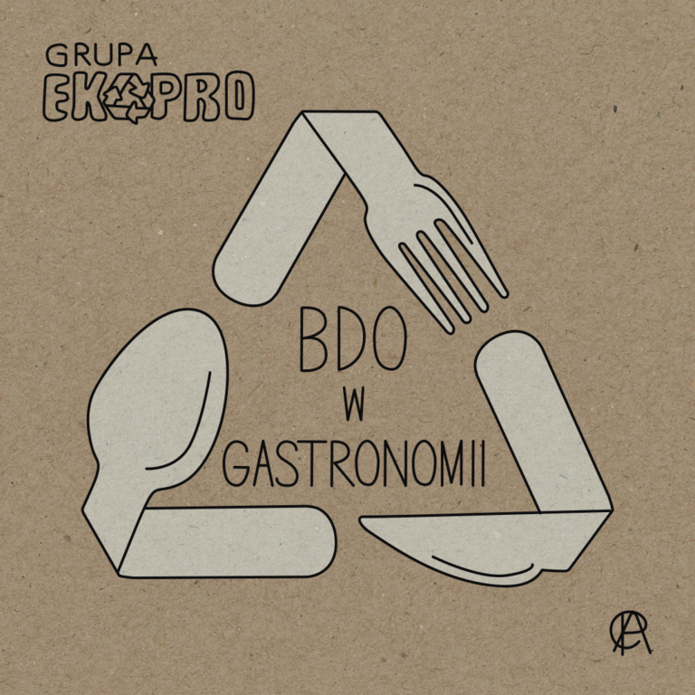 Obowiązki punktów gastronomicznych w systemie BDO